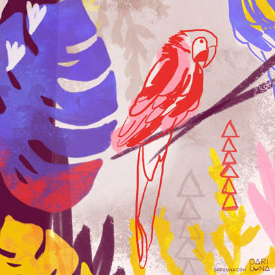 Parrots Tropical Illustration Los Angeles